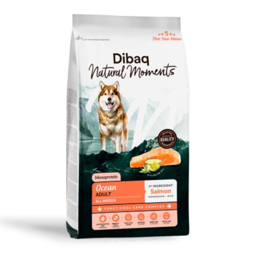 12 kg Dibaq Natural Moments Pienso Ocean Salm&oacute;n para perro, , large Imagen numero 1